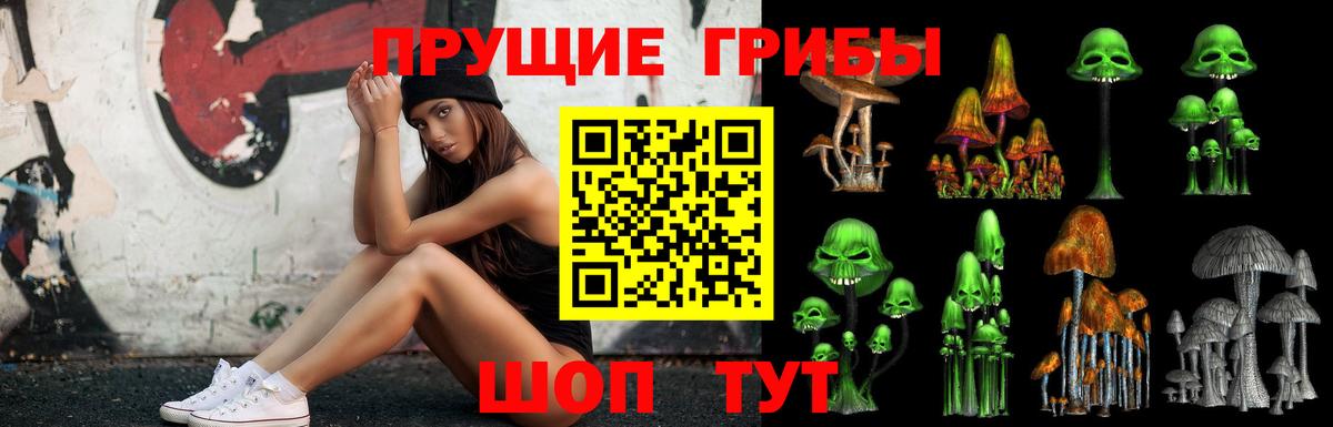 Галлюциногенные грибы Psilocybe  Галлюциногенные грибы GOLDEN TEACHER  Вход с VPN  Десногорск 